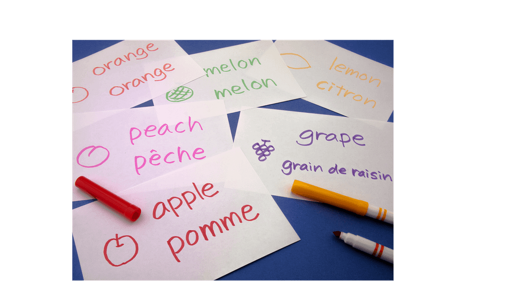 Biglingual fruit indexcards